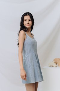 Archie Panel Denim Dress in Denim Blue (XS)