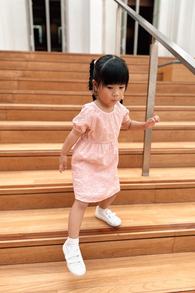 Blaise Embroidery Kids Dress in Pink 