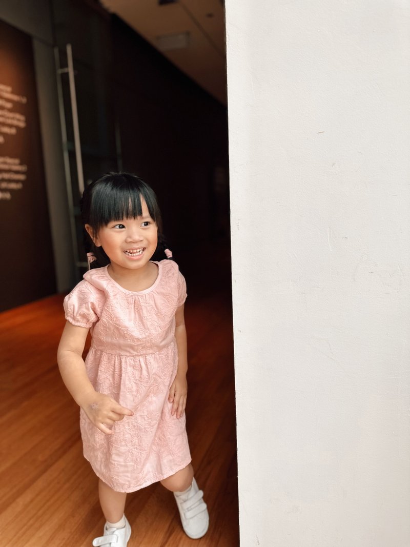 Blaise Embroidery Kids Dress in Pink 