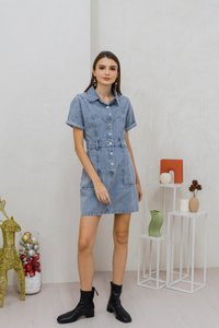 Serena Button Collar Denim Dress (XS)