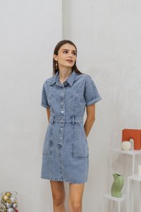 Serena Button Collar Denim Dress (XS)