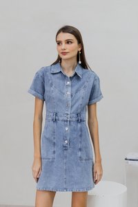 Serena Button Collar Denim Dress (XS)