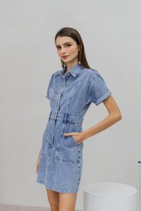Serena Button Collar Denim Dress (XS)
