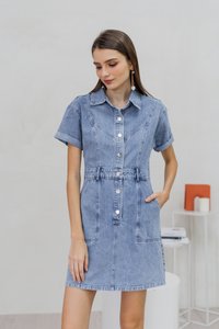 Serena Button Collar Denim Dress (XS)