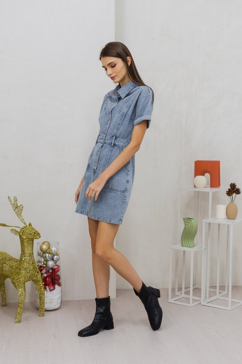Serena Button Collar Denim Dress (XS)