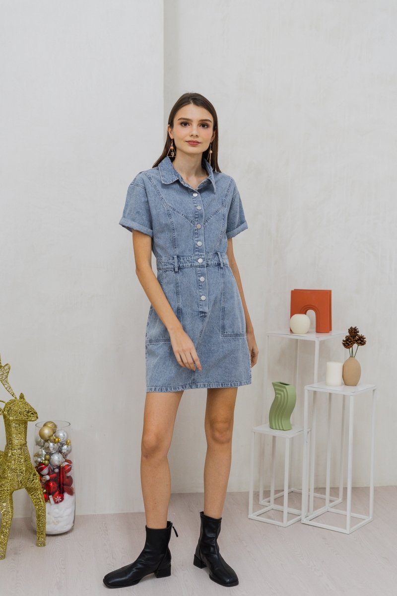 Serena Button Collar Denim Dress (XS)