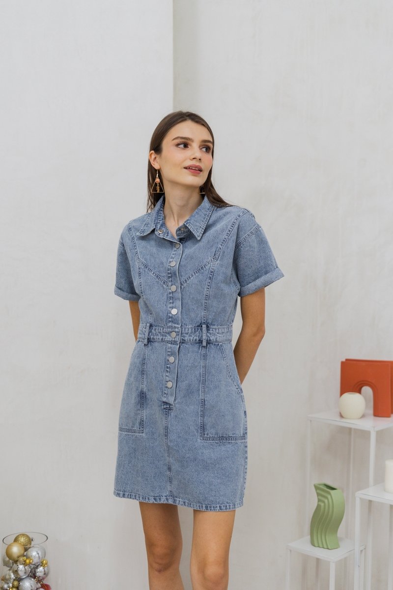 Serena Button Collar Denim Dress (XS)