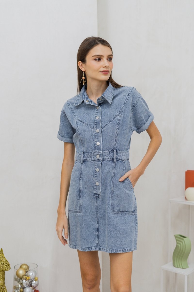 Serena Button Collar Denim Dress (XS)
