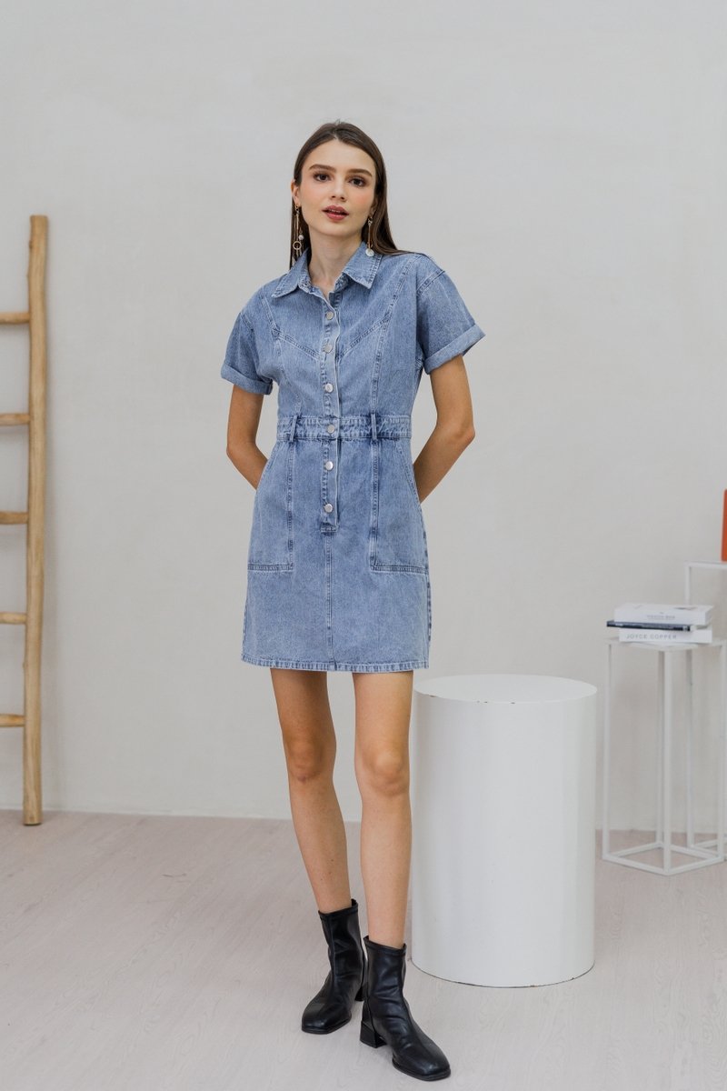 Serena Button Collar Denim Dress (XS)