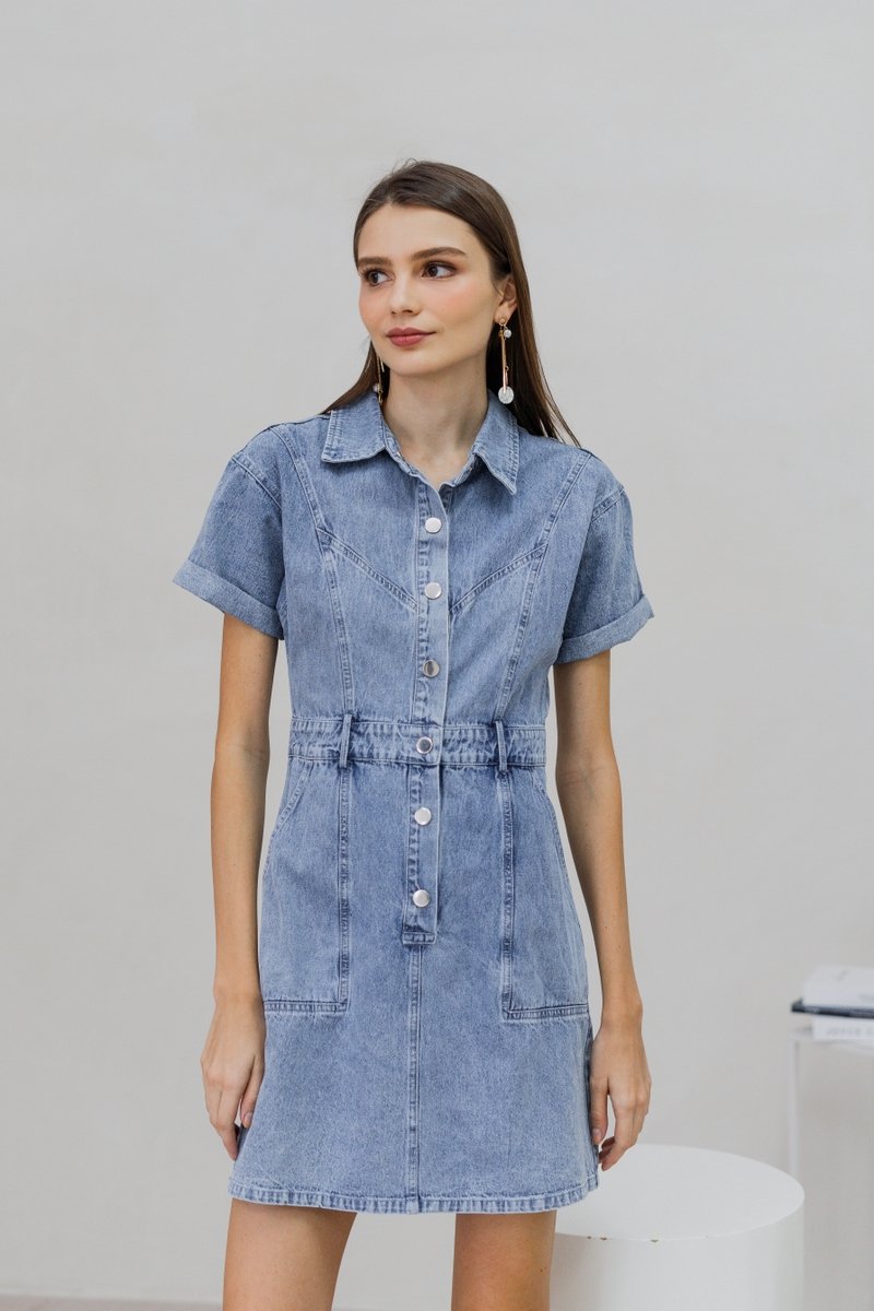 Serena Button Collar Denim Dress (XS)