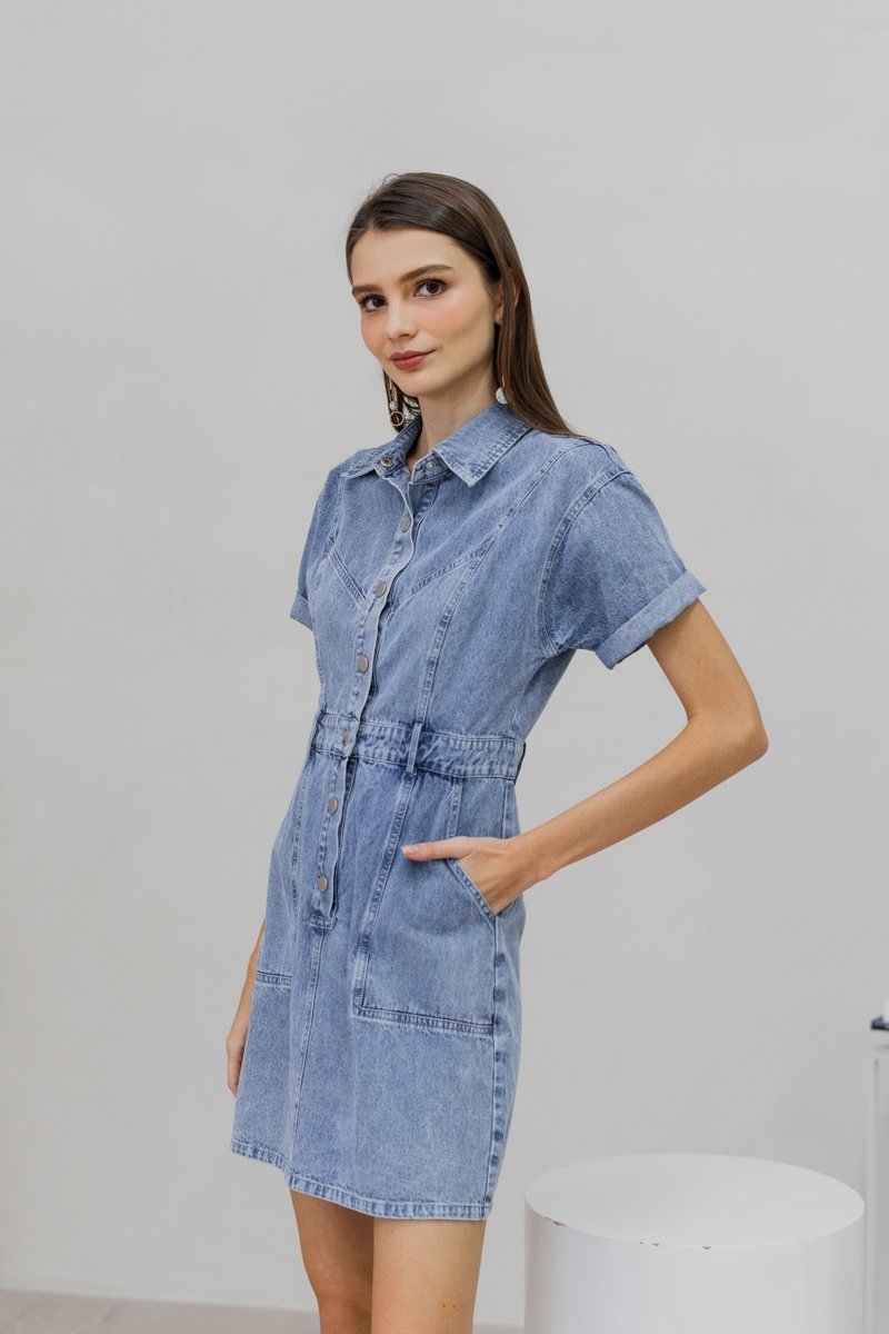 Serena Button Collar Denim Dress (XS)