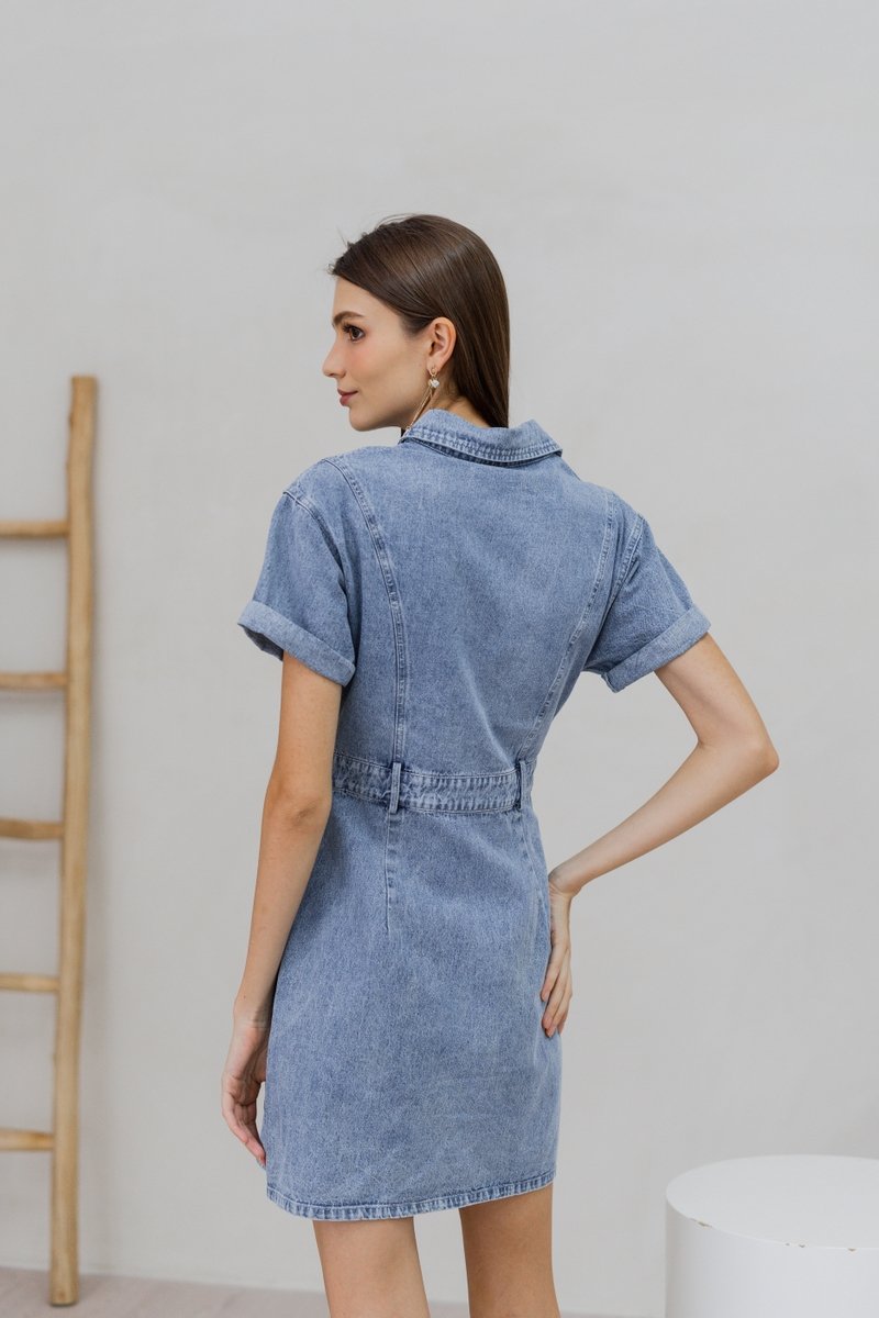 Serena Button Collar Denim Dress (XS)