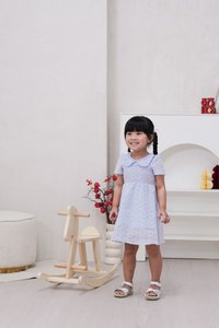Jewel Peterpan Smocked Kids Dress in Powder Blue