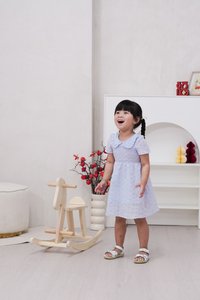 Jewel Peterpan Smocked Kids Dress in Powder Blue