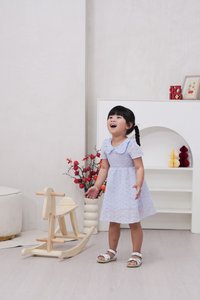 Jewel Peterpan Smocked Kids Dress in Powder Blue