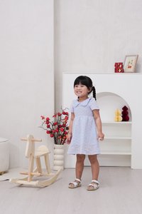 Jewel Peterpan Smocked Kids Dress in Powder Blue