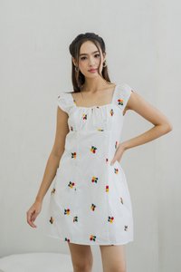 Layana Embroidery Dress in White (S)