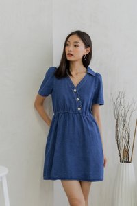 Liesel Button Collar Denim Dress (XS)