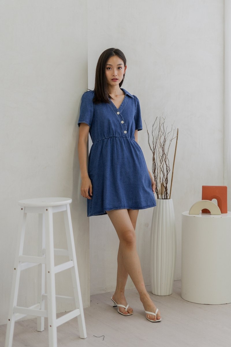 Liesel Button Collar Denim Dress (XS)