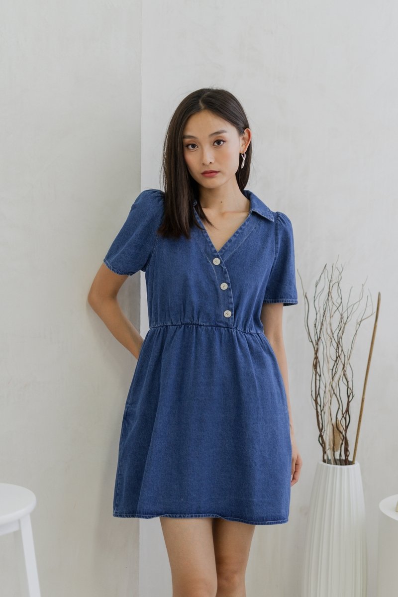 Liesel Button Collar Denim Dress (XS)