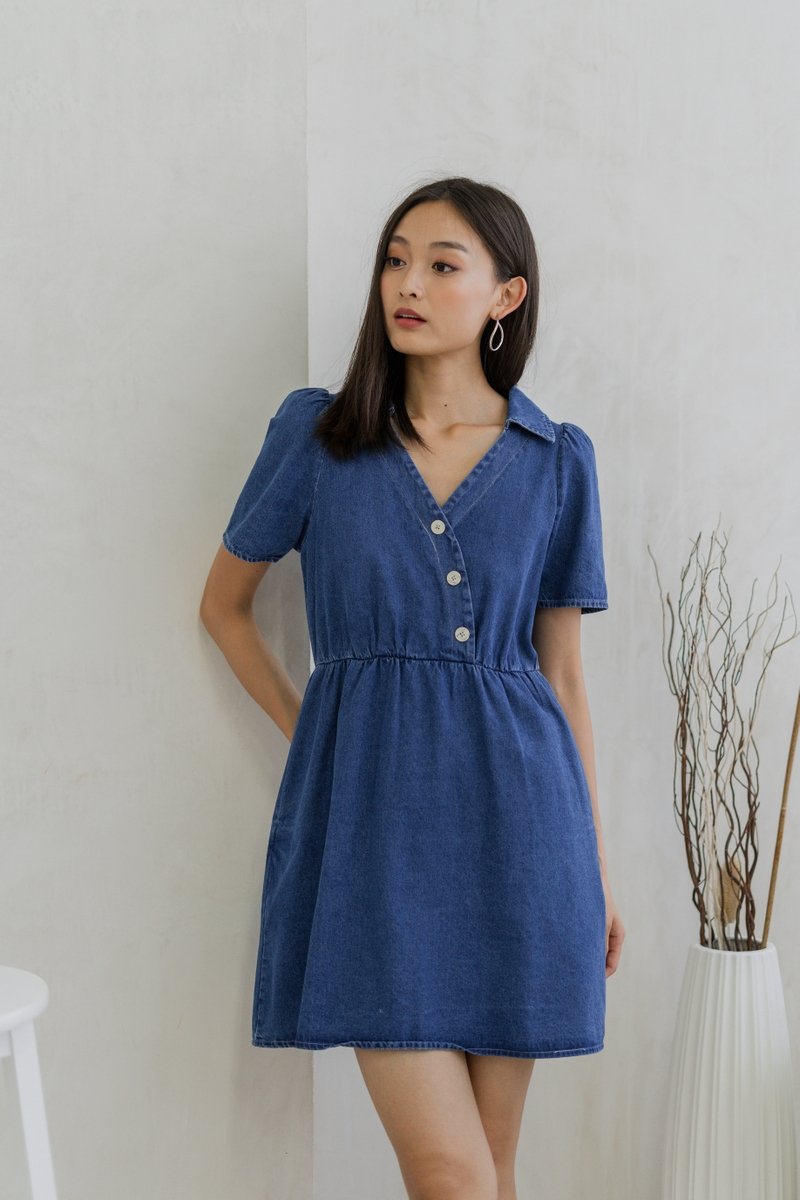 Liesel Button Collar Denim Dress (XS)