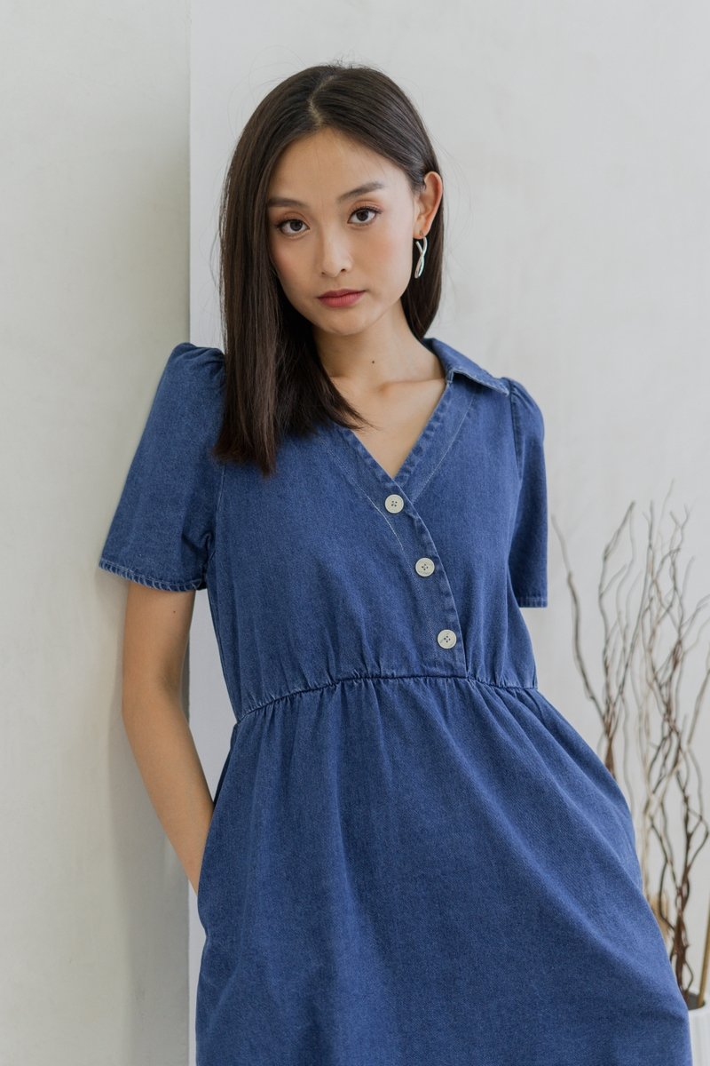Liesel Button Collar Denim Dress (XS)