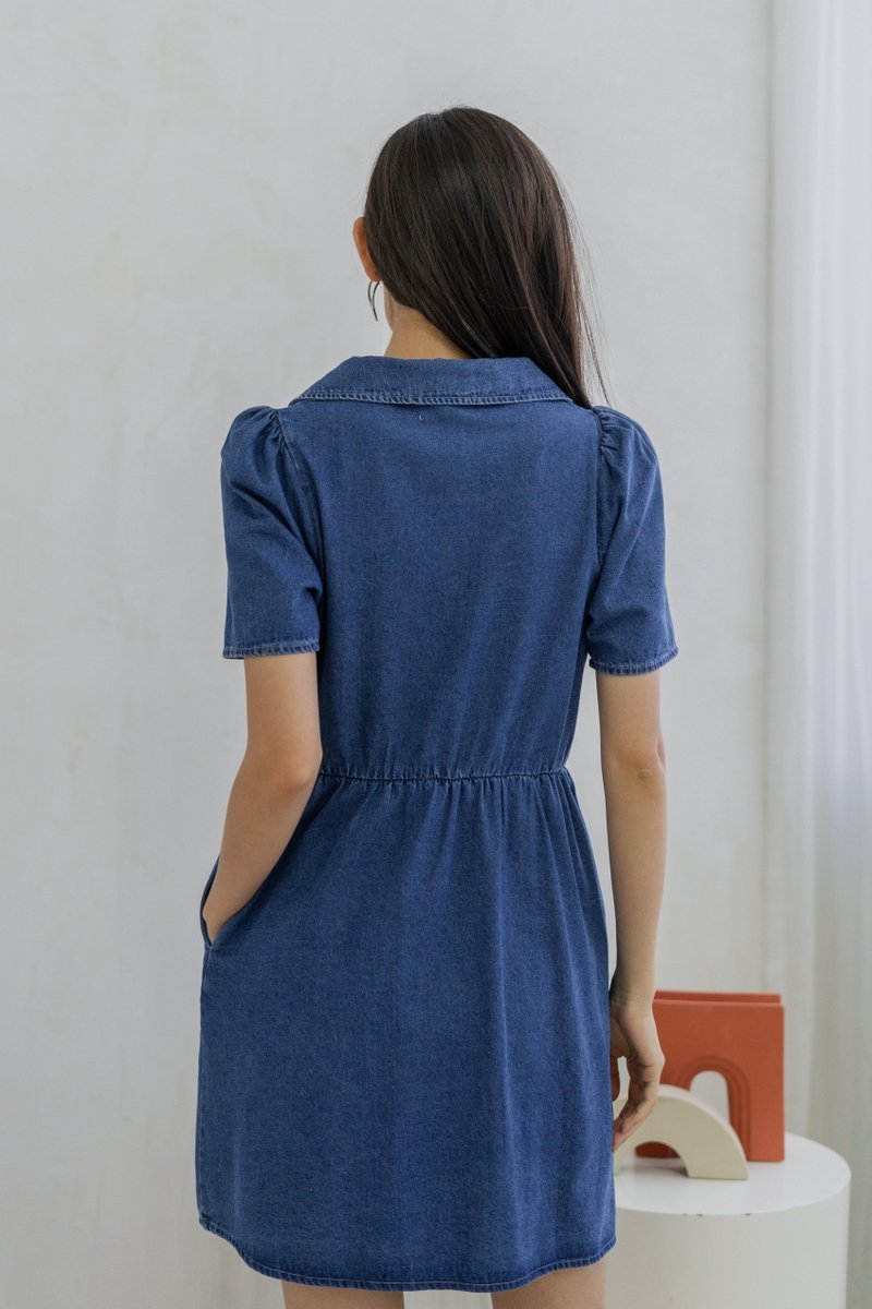 Liesel Button Collar Denim Dress (XS)