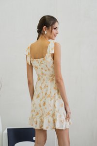 Coretta Eyelet Embroidery Ribbon Dress In Yellow