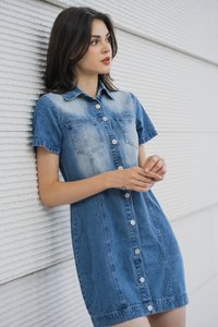 Gabbie Denim Button Shirt Dress (XS)