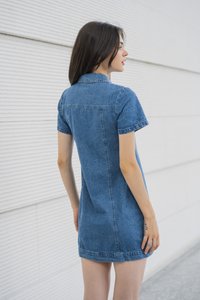 Gabbie Denim Button Shirt Dress (XS)