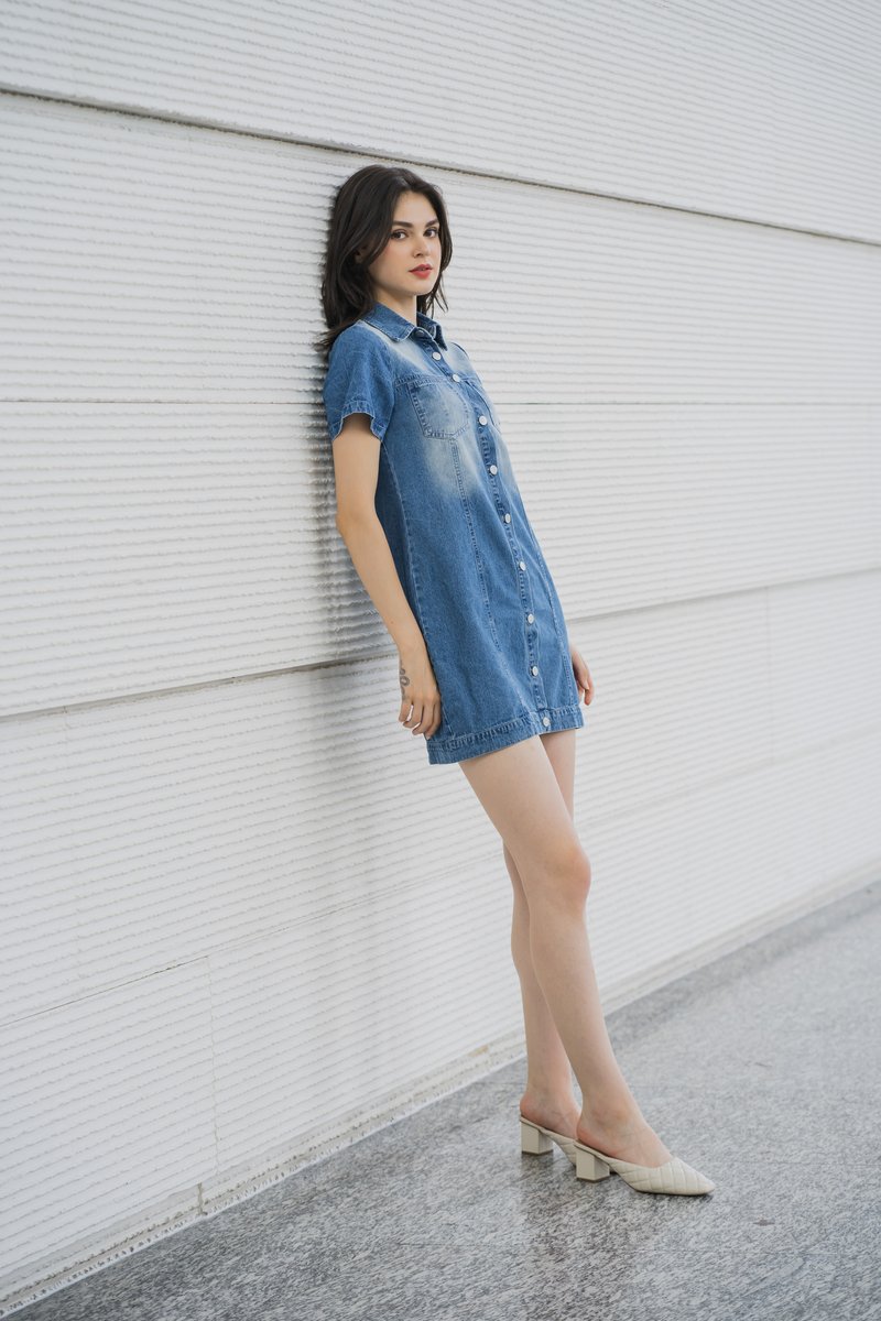 Gabbie Denim Button Shirt Dress (XS)