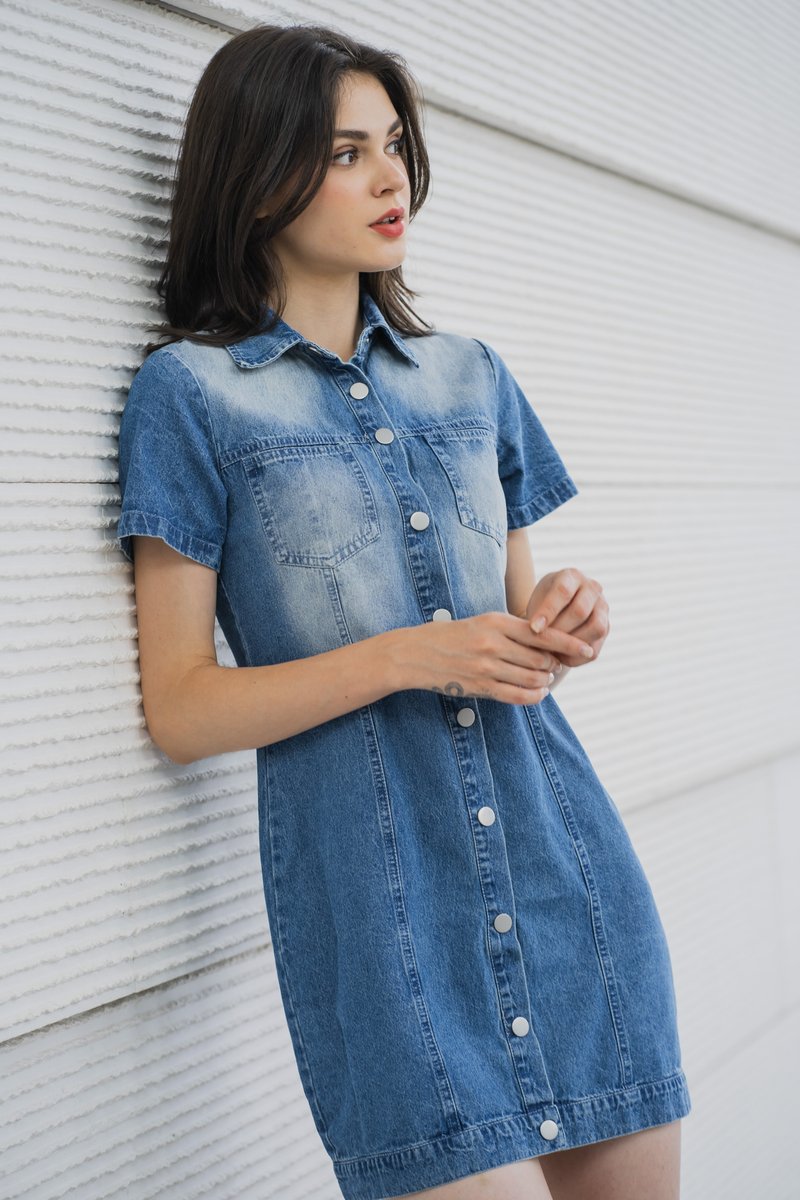 Gabbie Denim Button Shirt Dress (XS)