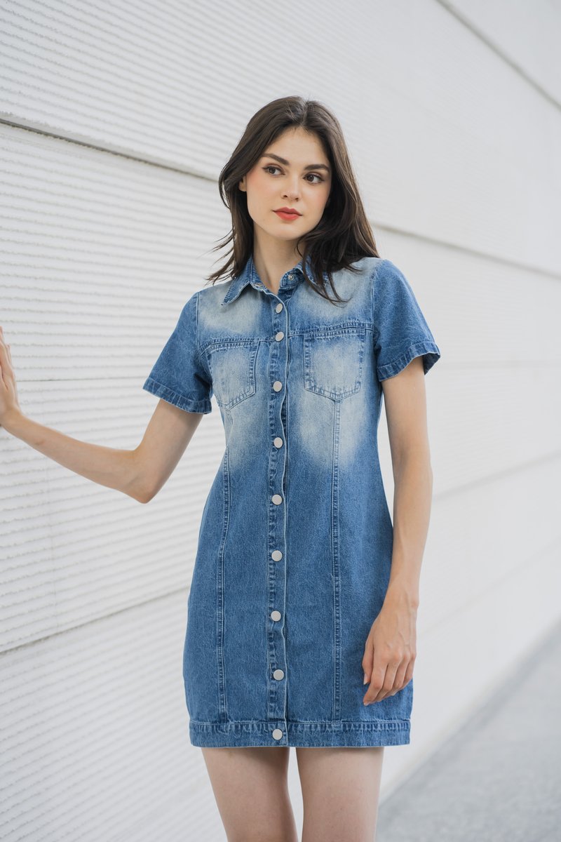 Gabbie Denim Button Shirt Dress (XS)