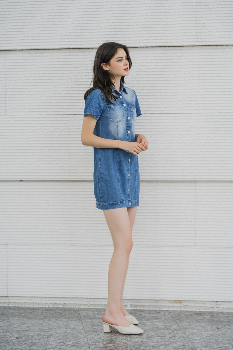 Gabbie Denim Button Shirt Dress (XS)