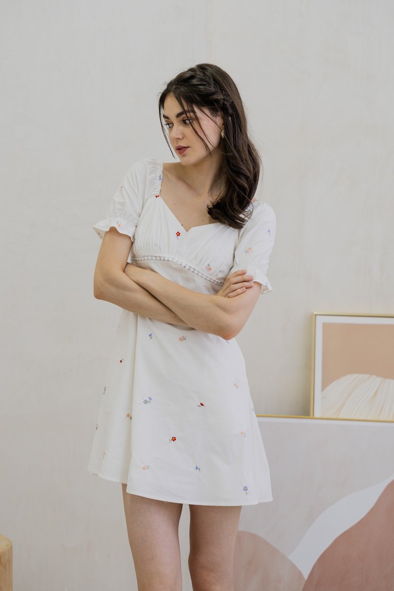 Brynn Mini Floral Embroidery Empire Waist Dress In White (XS)