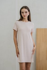 Nancy Knit Shift Dress In Pink (L)