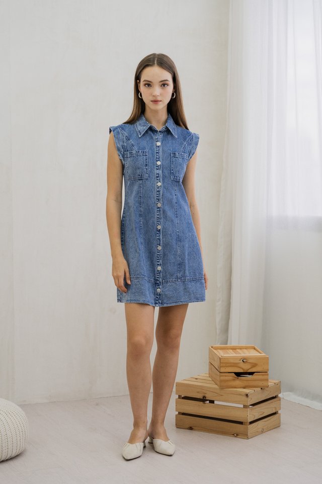 Diona Denim Button Dress 