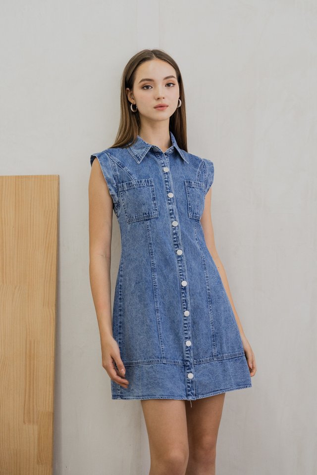 Diona Denim Button Dress 