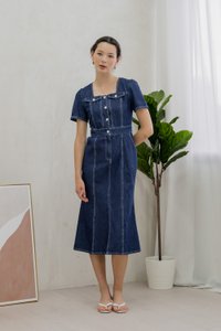 Bronca Button Front Denim Midi Dress (XS)