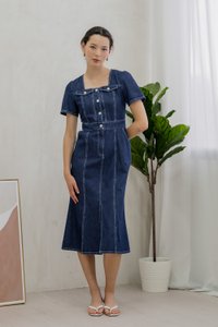 Bronca Button Front Denim Midi Dress (XS)