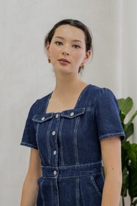 Bronca Button Front Denim Midi Dress (XS)