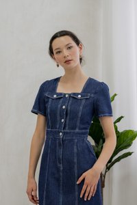 Bronca Button Front Denim Midi Dress (XS)
