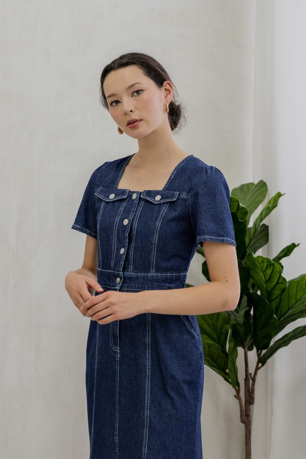 Bronca Button Front Denim Midi Dress (XS)