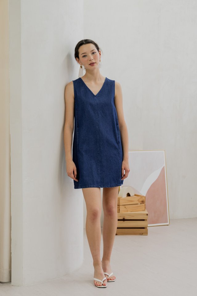 Valencia Denim V Neck Dress