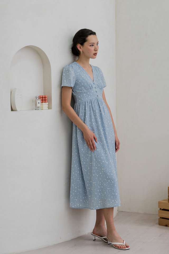 Fabiola Floral Empire Waist Maxi Dress In Blue