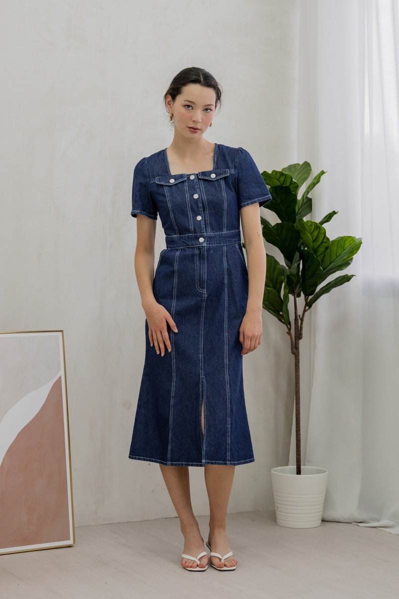 Bronca Button Front Denim Midi Dress (XS)