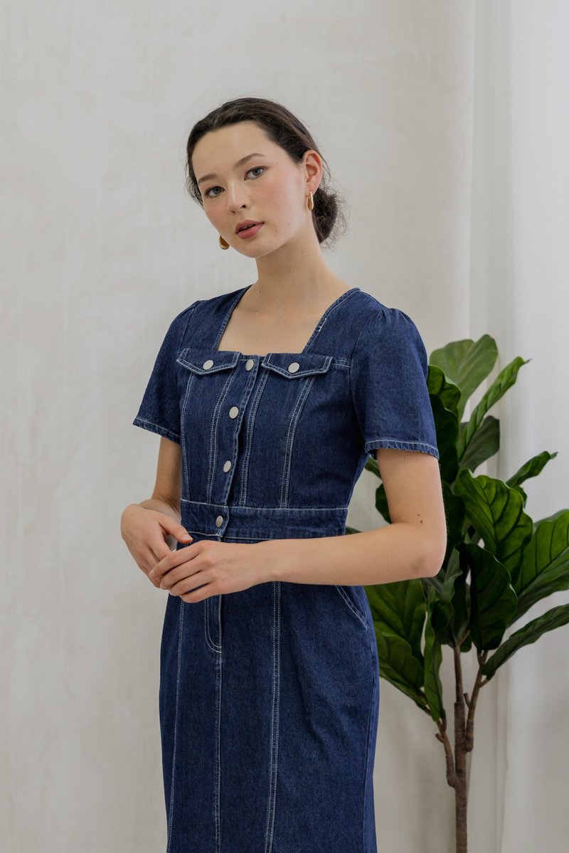 Bronca Button Front Denim Midi Dress (XS)