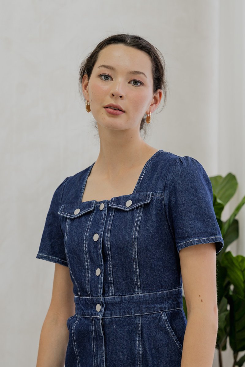 Bronca Button Front Denim Midi Dress (XS)