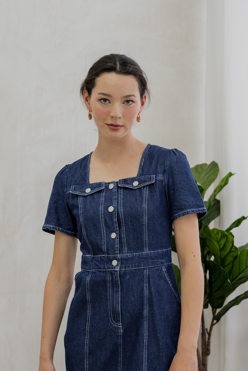 Bronca Button Front Denim Midi Dress (XS)