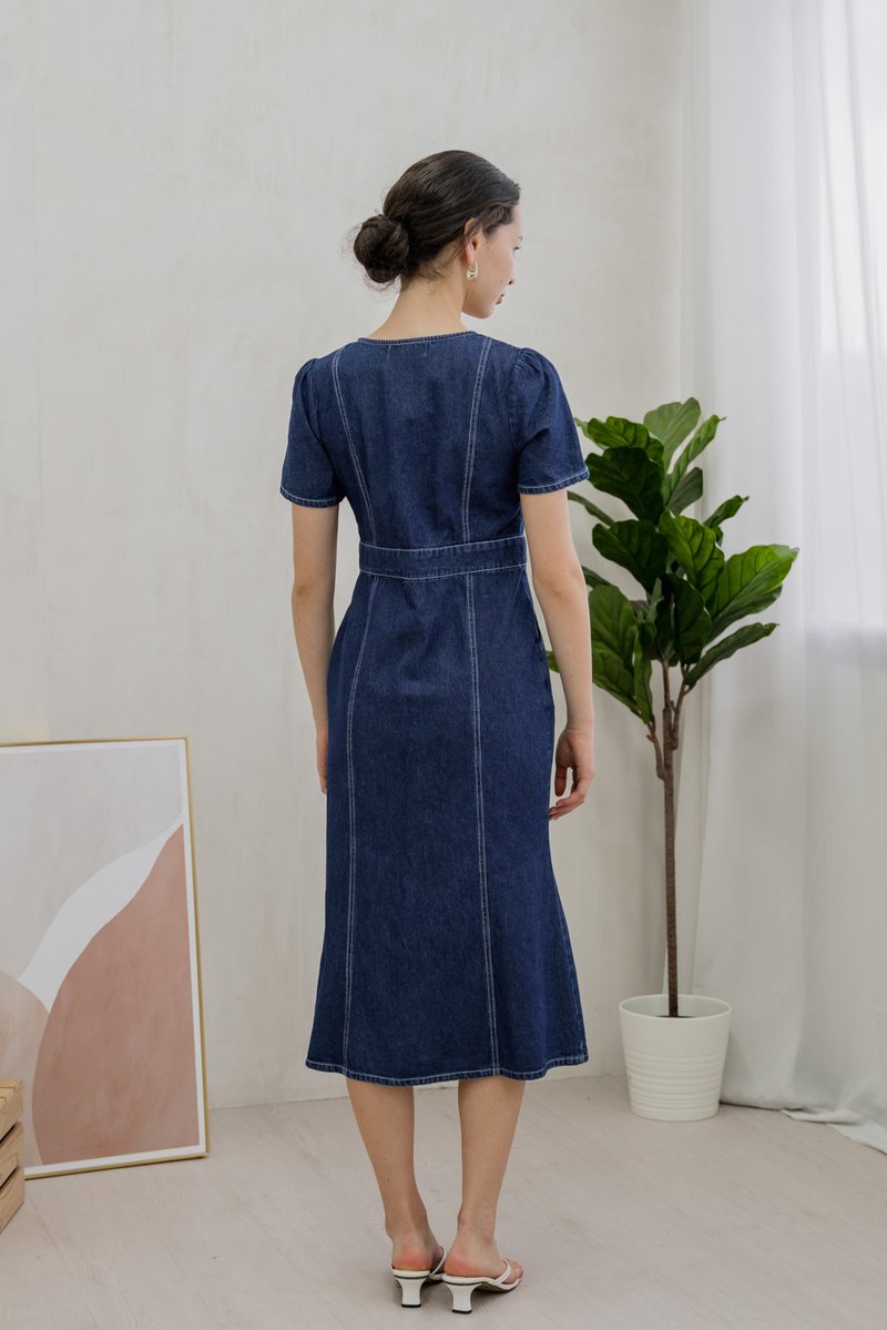 Bronca Button Front Denim Midi Dress (XS)